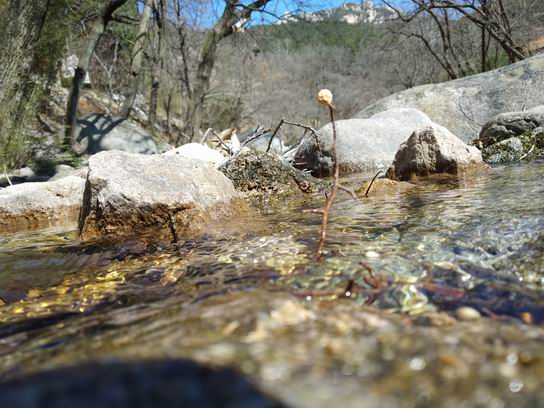 春天来了，组织大家去崂山踏春